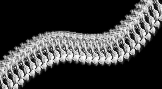 1467192 (a): :2555x1415